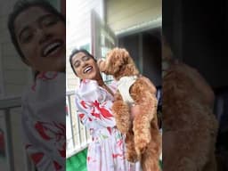 అందంగా ఉండటం నేను చేసిన తప్పా?#ashortaday #trending #pets #birthday #grwn #teluguvlogs #telugushorts