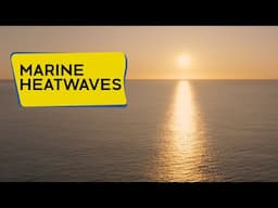 Inside the record-smashing North Atlantic marine heatwave.