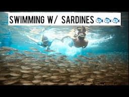 RUSSIAN - FILIPINO Couple Goes Swimming With Thousands of Sardines