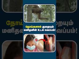 மனித உடலில் நிகழ்ந்து கொண்டிருக்கும் பரிணாம வளர்ச்சி! | Evolution in human body