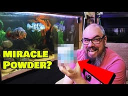 Clear Tannins FAST with this Simple and Cheap Aquarium Trick