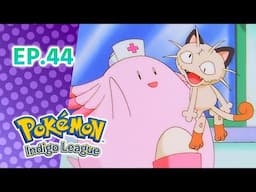 Pokémon: Indigo League एपिसोड 44: A Chansey Operation | Pokémon Asia Official (Hindi)