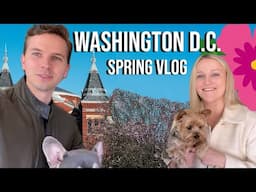 Exploring Washington, D.C. | National Mall, U.S. Botanic Garden & Spring Blooms 🌸