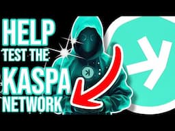 How Can I Participate In KASPA'S TestNet?