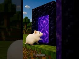 Cute Hamsters in Minecraft World Part 3