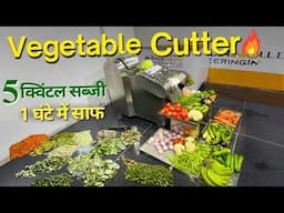 New Vegetable Cutting Machine | Vegetable Cutter | Food Business Ideas 2025