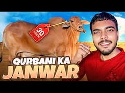 Qurbani Ka Janwar Lene Gae | Mandi Mei Mehngai ki AAG | 😱🔥
