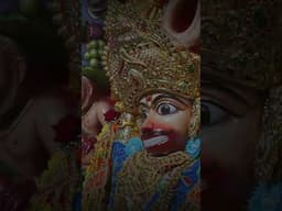 Status of shri Hanuman ji Maharaj Salangpur dham