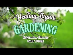 Big Garden Cleanup || Part Three || The Front Yard