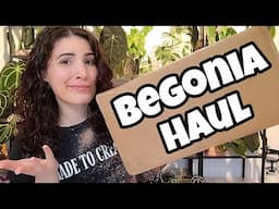 Begonia Haul from Steve's Leaves! 🌿 houseplant unboxing & review 🖤