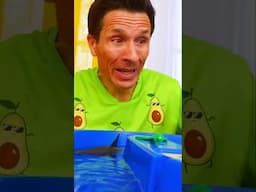😮Le requin chasse le poisson de George !🐠🦈 #videoshorts #jouets #pourlesenfants #pawpatrol
