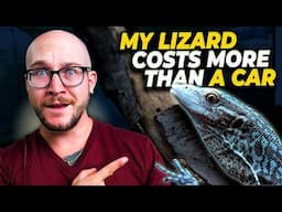 My Pet Lizard Costs More Than a Car, Let's Give Him a New Home!