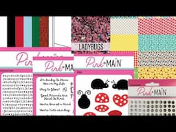 May Crafty Courtyard Kit-Ladybugs with Demo Donna