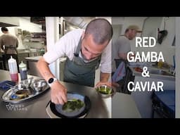 Red gamba carpaccio & caviar at restaurant Madunia - Ibiza 2024