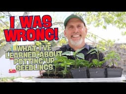 How and when to pot up your garden seedlings! - Pepper Seedling Pot up Demo
