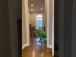 TODDLER ATTACKED BY MULTIPLE ANIMALS! (Kid Gets Revenge)
