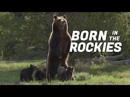 Born in the Rockies | First Steps