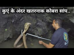 ऐसा खतरनाक वीडियो आपने नहीं देखा होगा.। Rescued four snakes that fell into the well