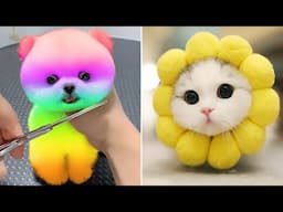 Funniest Animals 2025 😂 Best Funny Cats and Dogs 😻🐶 Part 20 | Cute Baby Dogs
