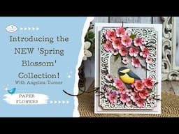 Introducing the New! Spring Blossom Collection