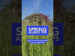 How to Handle Spring Allergies