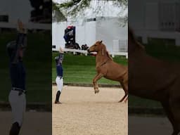 Thursday Mustang Demo and Course walk ✅ at Defender Kentucky 3Day Event