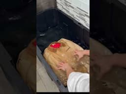Dying My Carhartt Jacket