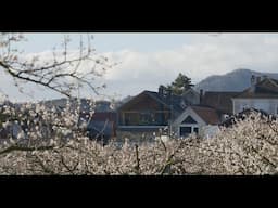 How Does Light Change a House? | Advanced Daylighting Modelling with VELUX