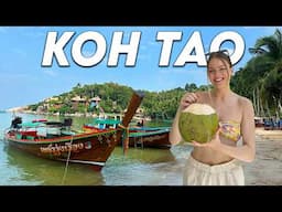 Best island in Thailand? First impressions of Koh Tao Island THAILAND 🇹🇭