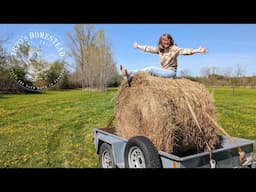 800 Pounds of Hay | My Return to Ruth Stout Gardening