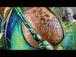 Best Camera Part 2 -  Macro Talk Too #146 - 6/12/25