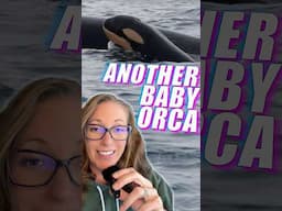 Endangered Southern Resident Orcas Get Another New Calf! #shorts
