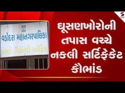 Fake Certificate Scam | ઘૂસણખોરોની તપાસ વચ્ચે નકલી સર્ટિફેકેટ કૌભાંડ | Gujarat