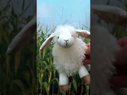 Farmer Blippi’s Fluffy Sheep! Baa Baa Fun! 🐑👨‍🌾 #Blippi #Shorts