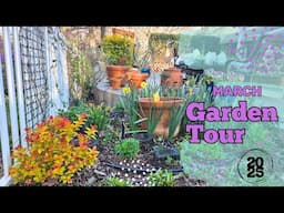 March 2025 Backyard Garden Tour! NEW Seedlings Planted! Everything is Coming to LIFE! #springgarden
