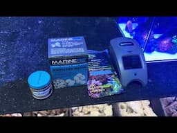 This will help ensure any fish is easier to keep!