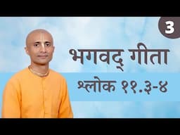 Shloka 11.3-4 | Part 3 | The Universal Form | HG Krishna Dhan Das