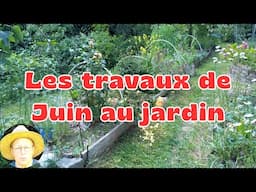 Les Travaux de Juin au Potager Urbain en Permaculture