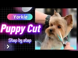 How to trim a Yorkie in a PUPPY CUT with a wavy coat. Step by step.