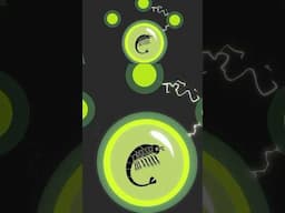 Activate Brine Shrimp Powers! | Wild Kratts #shorts #YouTubeShorts