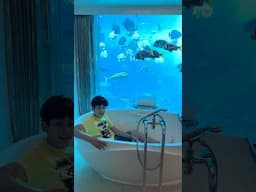 I visited the world’s most amazing hotel room