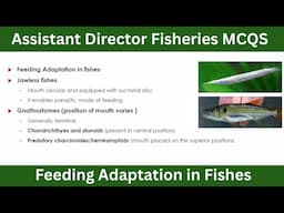Assistant Director Fisheries MCQS Test Preparation || Feeding Adaptation In fishes