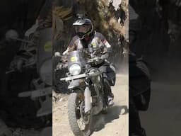 Four Himis in Western Nepal #himalayan450
