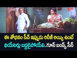 ఈ శోభనం సీన్ ఇప్పుడు రిలీజ్ అయ్యి ఉంటే థియేటర్లు బద్దలైపోయేవి | Old Movie Best Scenes | NavvulaTV