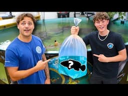 GIFTING PAUL CUFFARO My FISH for his SALTWATER POND!! **INSANE**