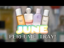 JUNE PERFUME TRAY! SUMMER, TROPICAL VIBES! 🌴🥥🍍🍌🍹 PERFUMES I WILL BE WEARING THIS MONTH! | AMY GLAM✨