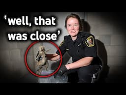 Taco Bell Worker Caught Putting RAT Poison in Meals...