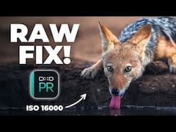 The First Step to Better RAW Files (Most People Skip This!)