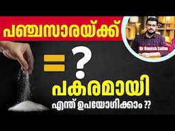 2309 : പഞ്ചസാരയ്ക്ക് പകരം എന്ത് കഴിക്കാം? ഏറ്റവും ആരോഗ്യകരമായ ഓപ്ഷനുകൾ! | Best Sugar Alternatives