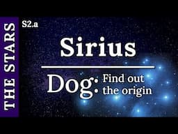 The origin of Dog is no longer a 'Mystery'!